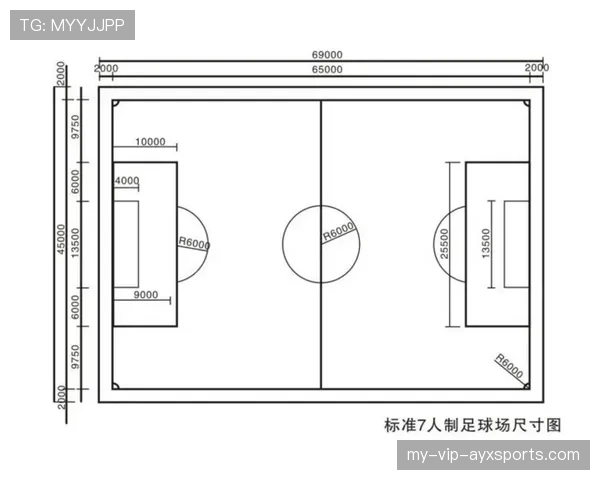 标准足球场尺寸范围及国际比赛场地的具体规则要求